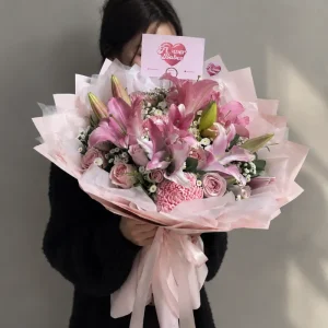 (NEW) Candy Lily Candy Lily